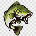 Download High Quality clipart fish bass Transparent PNG Images - Art ...