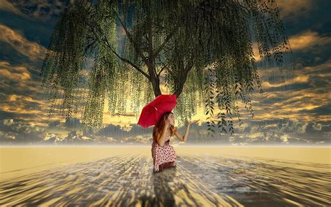 Rainy Summer Day Wallpapers Wallpaper Cave