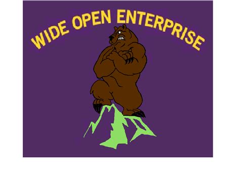wide open enterprises crown point ny