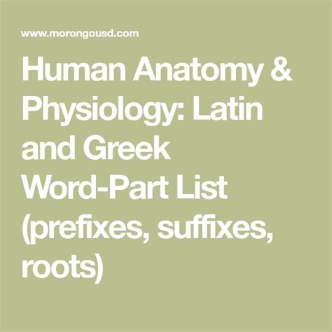 Human Anatomy And Physiology Latin And Greek Word Part List Prefixes