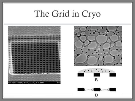 Ppt Transmission Electron Microscopy Visualization Techniques