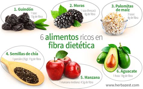 6 Alimentos Ricos En Fibra Dietética Herbazest