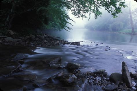 Free Photo Flowing River Flowing Jungle Lake Free Download Jooinn