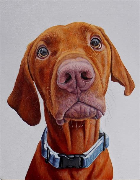 Realistic Funny Dog Portraits Dog Portraits Dog Art Dog Paintings