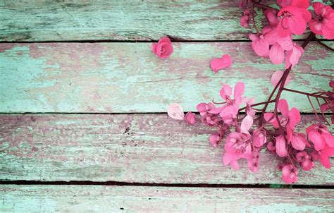 Download Wallpaper Flowers Spring Pink Vintage Wood By Shanel