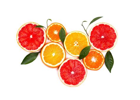 Citrus Fruits Isolated On White Background Isolated Citrus Fruits