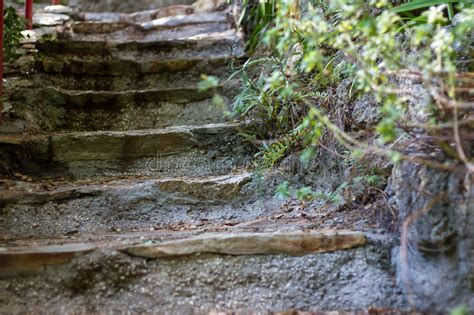 Stone Steps In The Woods Stock Image Image Of Spiritual 70451325