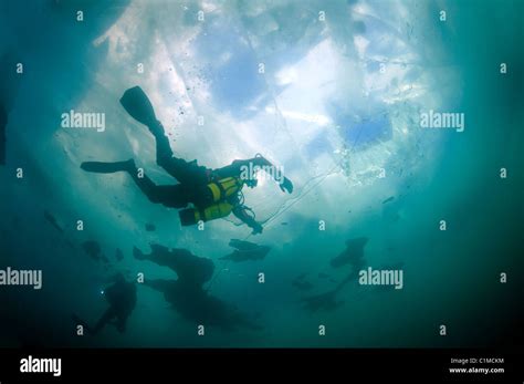 Scuba Diver In Sidemount Swim Under Ice Ice Diving In Lake Baikal