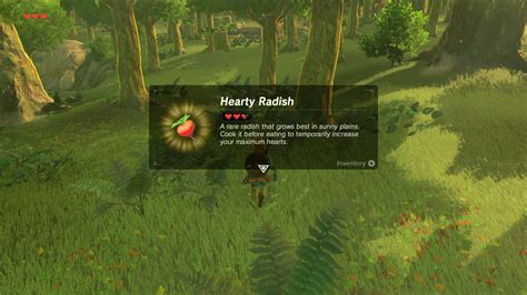 Zelda Breath Of The Wild Gathering Screenshots Nintendo Everything
