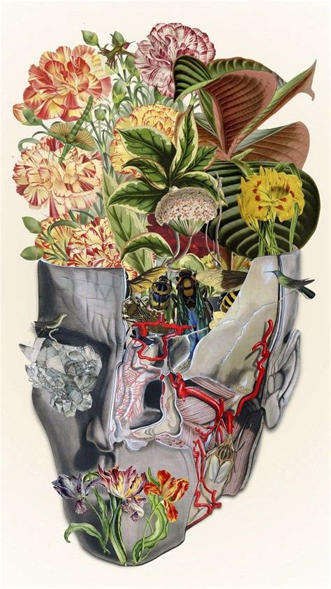 Bedelgeuses Collages Blend Human Anatomy With Nature Collage Art