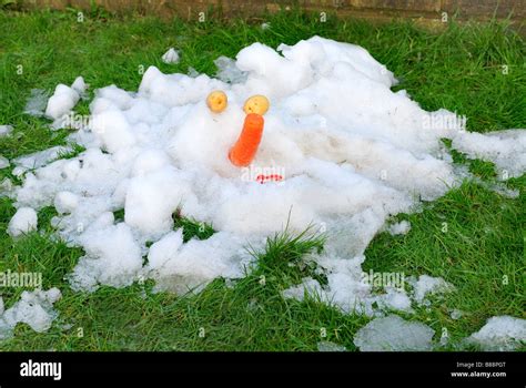 Melted Snowman On A Lawn Stock Photo Alamy