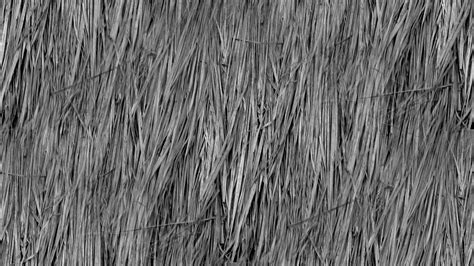 Gray Seamless Straw Background Free Stock Photo Public Domain Pictures