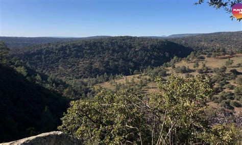 La Sierra Madre Occidental El Lugar Que Donde Hacer Senderismo Es Todo