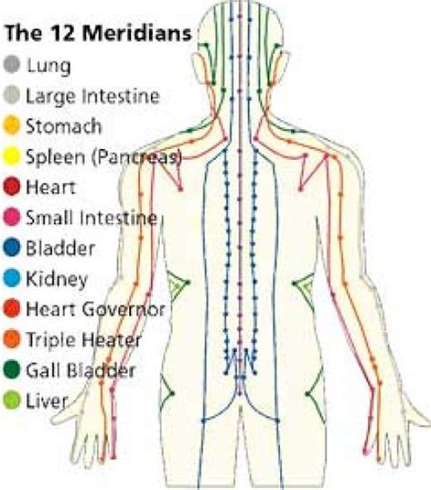 A Guide To The 12 Major Meridians Of The Body Acupressure Treatment