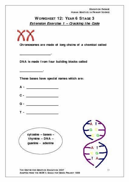 50 Gene And Chromosome Mutation Worksheet