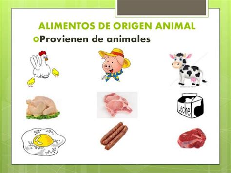 Alimentos De Origen Animal Para Niños Ruth Chipilla