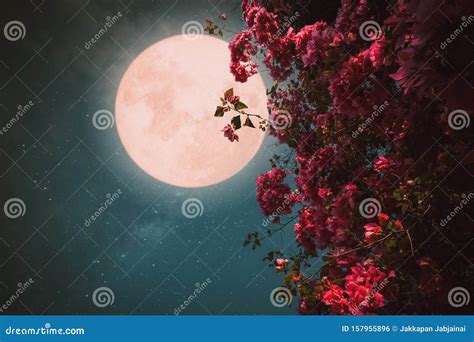 stunning collection of 4k full moon images over 999 breathtaking photos