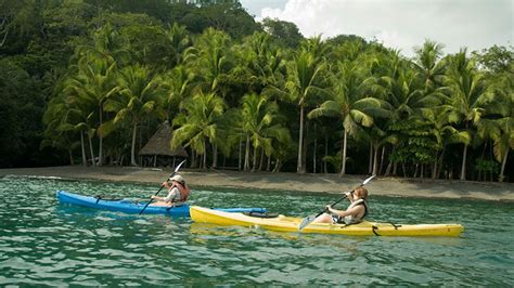 Why Is The Osa Peninsula Costa Rica Such A Favorite Place To Visit