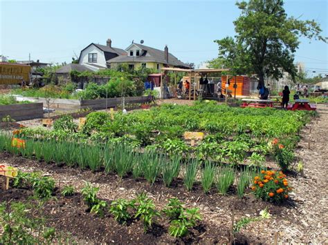 Edgemere Farm And Far Rock Urban Agro Education Center Grownyc