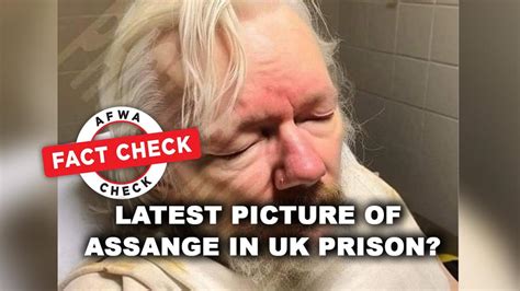 Fact Check Viral Picture Of Ailing Julian Assange Is Ai Generated Not Real Trendradars India