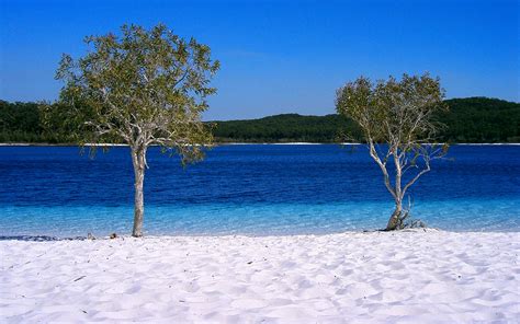 Fraser Island Beach Queensland Australia World Beach Guide