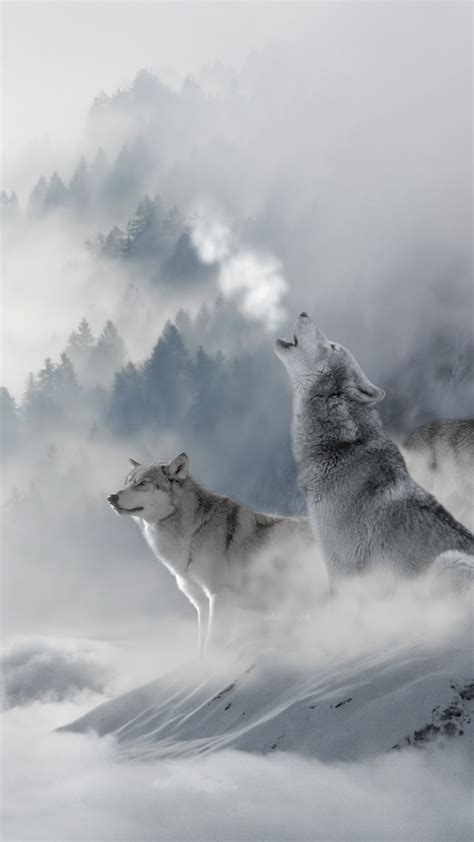 Maybe you would like to learn more about one of these? Wolf Wallpaper for iPhone (72+ images)