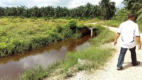 Aus wikipedia, der freien enzyklopädie. HARTANAH UNTUK DIJUAL 2016: LOKASI TANAH UNTUK DIJUAL SRI ...