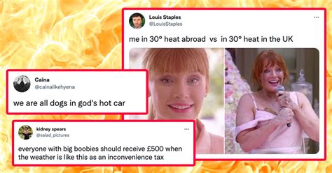 Lie In The Shade And Then Enjoy These 27 Uk Heatwave Memes