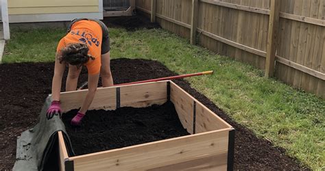 Filling Raised Garden Beds With Soil Spotts Garden Service