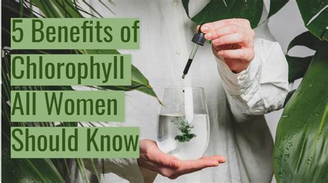 What Are The Benefits Of Chlorophyll Drops