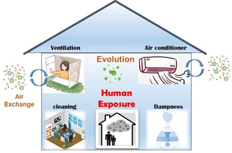 Study Helps To Better Understand The Link Between Indoor And Outdoor