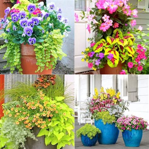 For best results when potting use dawson's premium potting mix. Wonderful Colorful Shade Garden Pots Ideas 30 | Beautiful ...