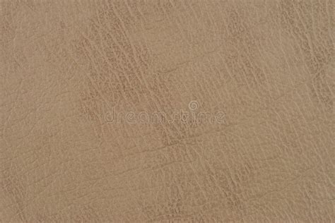 Light Brown Leather Texture Surface Stock Image Image Of Appearance