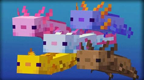Minecraft Axolotl Skin Template Simplyshadyy • 3 Days Agoprintable