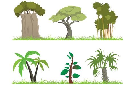 Free Jungle Plant Cliparts Download Free Jungle Plant Cliparts Png