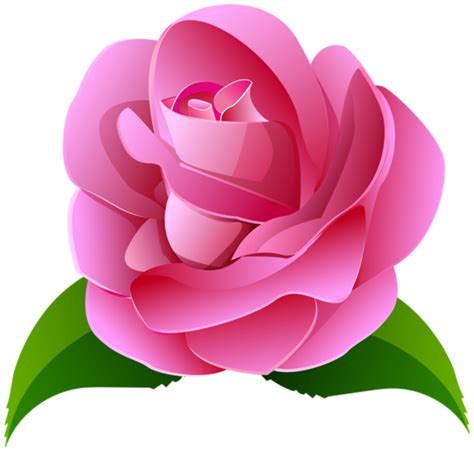 Flores - Rosa cor de Rosa 2 PNG Imagens e Moldes.com.br png image