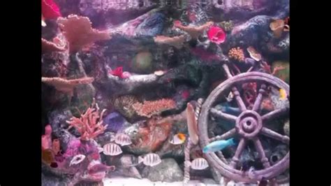 Sea Life Aquarium Grapevine Tx Youtube