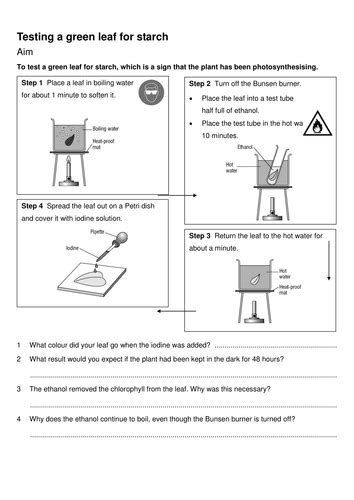 Worksheet For Starch Science Experiment