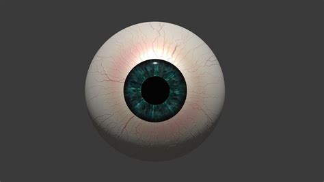 Human Eye 3d Model Textures Included Cgtrader