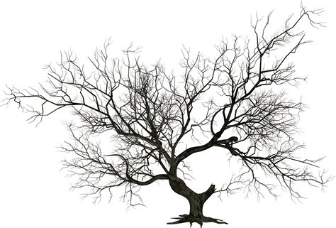 Free Haunted Tree Silhouette Download Free Haunted Tree Silhouette Png