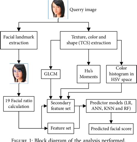 figure 1 from machine learning based facial beauty prediction and analysis of frontal facial