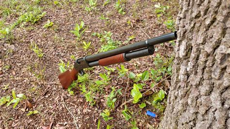 Obscure Object Of Desire Norinco Model Shotgun The Truth About Guns