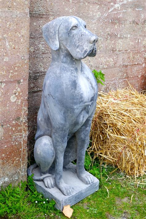 Antiques Atlas Pair Of Large Old Weathered Great Dane