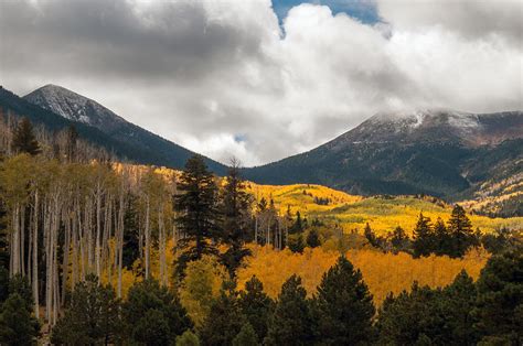 7 Best Things About Fall In Flagstaff