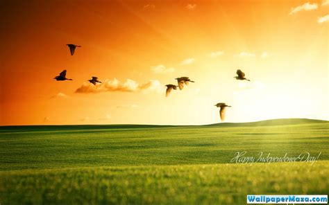 Free Download Bing Backgrounds Of The Day For Pinterest 1280x800 For