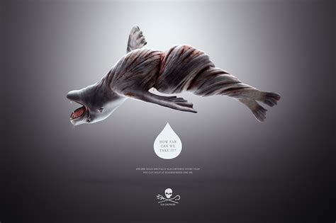 Sea Shepherd Print Advert By Heads Propaganda Twisted Seal Ads Of