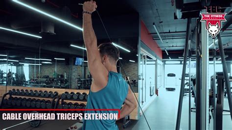 Cable Overhead Triceps Extension Youtube