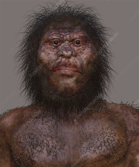 Meet Denny The Ancient Mixed Heritage Mystery Girl Half Denisovan And