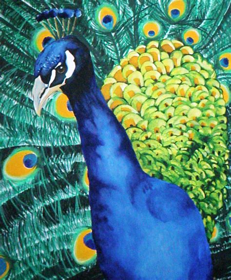 Peacock Oil Painting By Tinyamazon On Deviantart