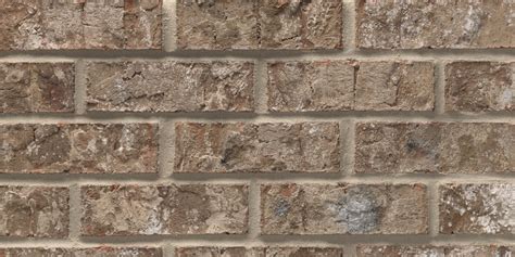 Acme Brick Brompton Modular Extruded Buff Light Texture Clay Brick